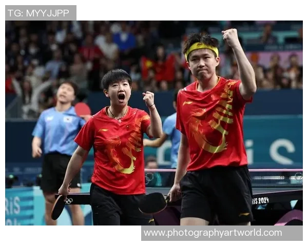 成都乒乓球队团队协作变革引发热议助力竞技水平提升